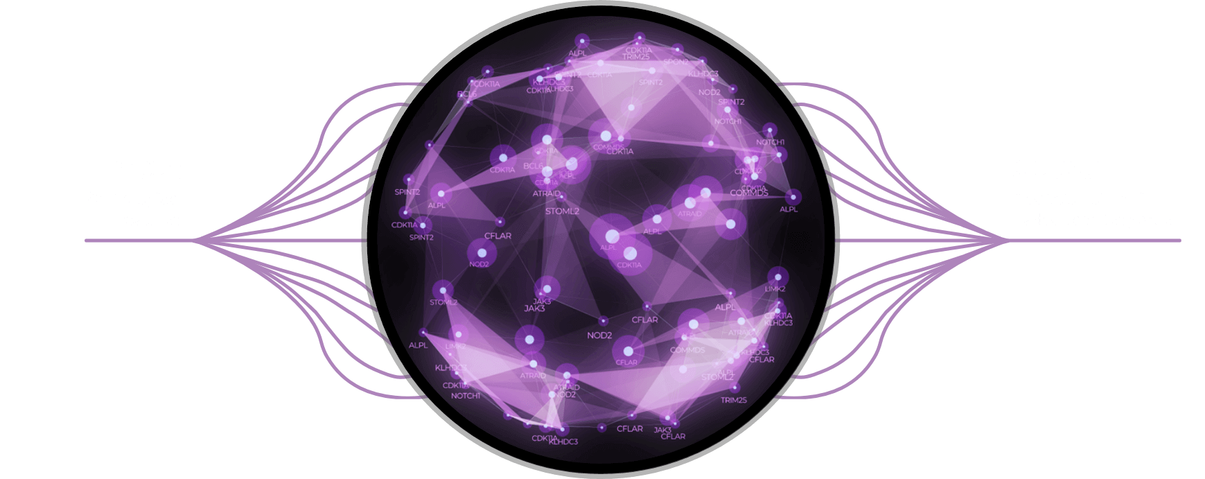 Neural Network Model