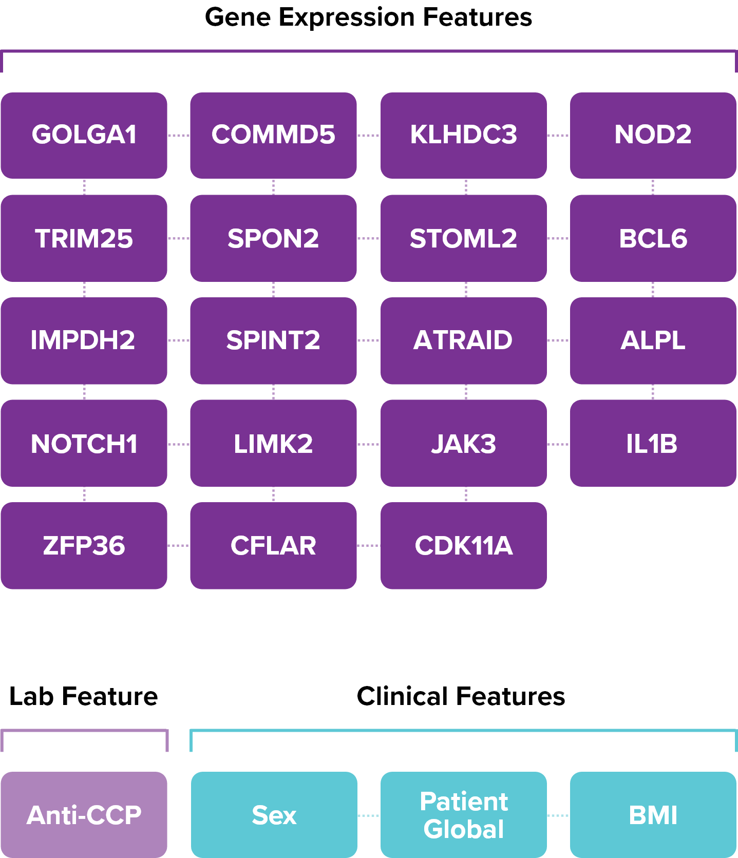 Gene Expression Features