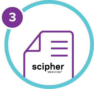 Step 3- Icon of report